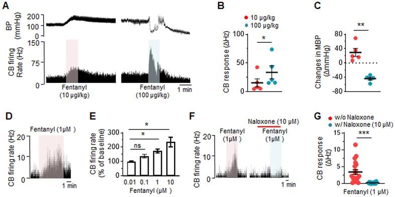 https://cdn.ncbi.nlm.nih.gov/pmc/blobs/a711/12117331/eec1bb7ce5e2/zqaf020fig1.jpg