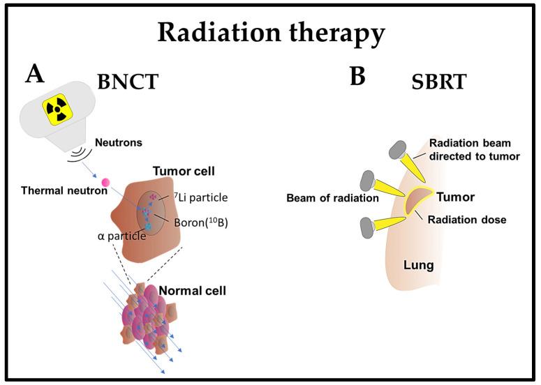 https://cdn.ncbi.nlm.nih.gov/pmc/blobs/a718/10930724/fc575416126f/cells-13-00436-g001.jpg