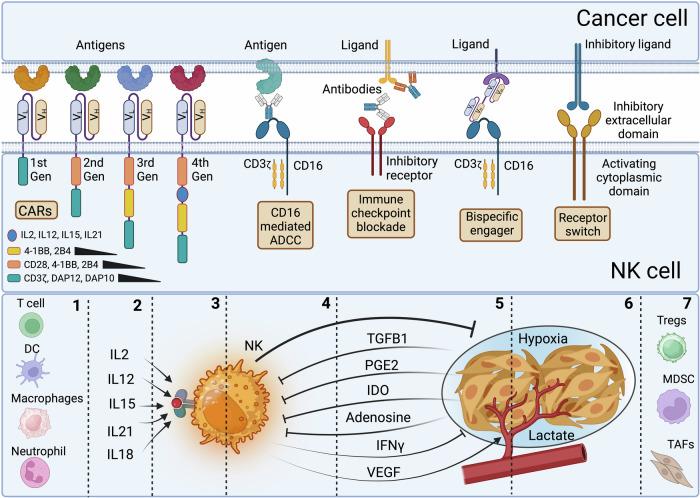 https://cdn.ncbi.nlm.nih.gov/pmc/blobs/a748/11544004/9081ed4c0bac/41392_2024_2005_Fig8_HTML.jpg