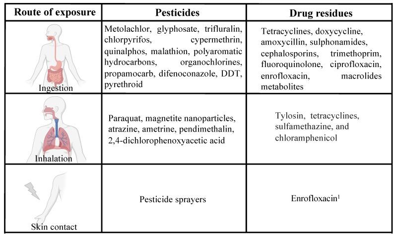 https://cdn.ncbi.nlm.nih.gov/pmc/blobs/a75a/11355024/b8cf13dadee5/ijms-25-09116-g002.jpg