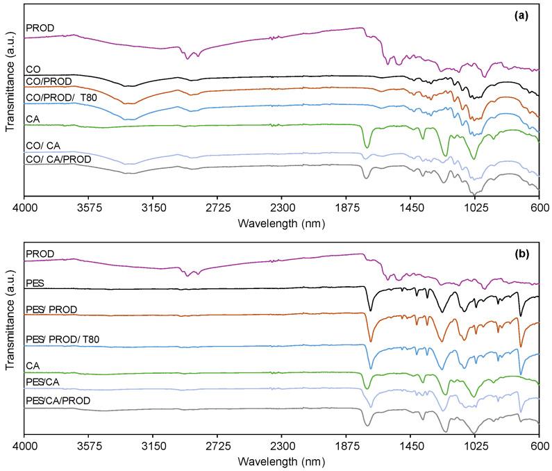 https://cdn.ncbi.nlm.nih.gov/pmc/blobs/a760/12383654/35d9f0bc47e1/biomolecules-15-01113-g011.jpg