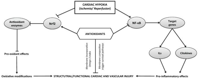 https://cdn.ncbi.nlm.nih.gov/pmc/blobs/a783/5622726/af0e01e08cfd/nutrients-09-00966-g001.jpg