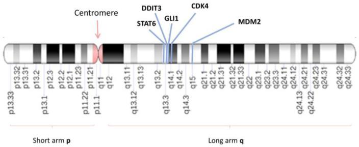https://cdn.ncbi.nlm.nih.gov/pmc/blobs/a790/10814159/3ab15ab25dd1/cancers-16-00432-g001.jpg