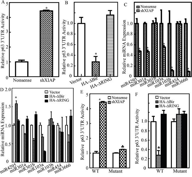 https://cdn.ncbi.nlm.nih.gov/pmc/blobs/a797/5302933/6ef7d58dbedc/oncotarget-07-56540-g005.jpg