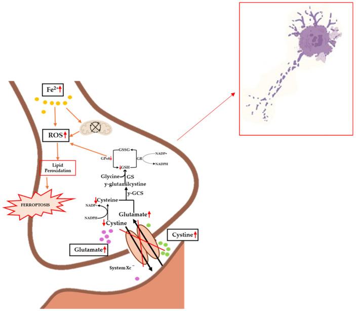 https://cdn.ncbi.nlm.nih.gov/pmc/blobs/a799/11944684/9833b8c66bd9/molecules-30-01211-g003.jpg