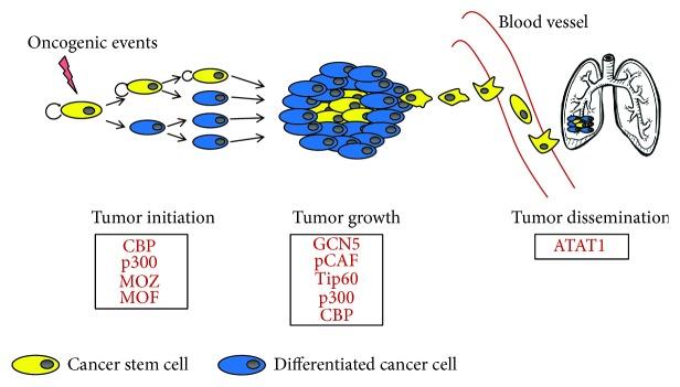 https://cdn.ncbi.nlm.nih.gov/pmc/blobs/a79c/6311713/887d0b9ce2cb/SCI2018-8908751.001.jpg