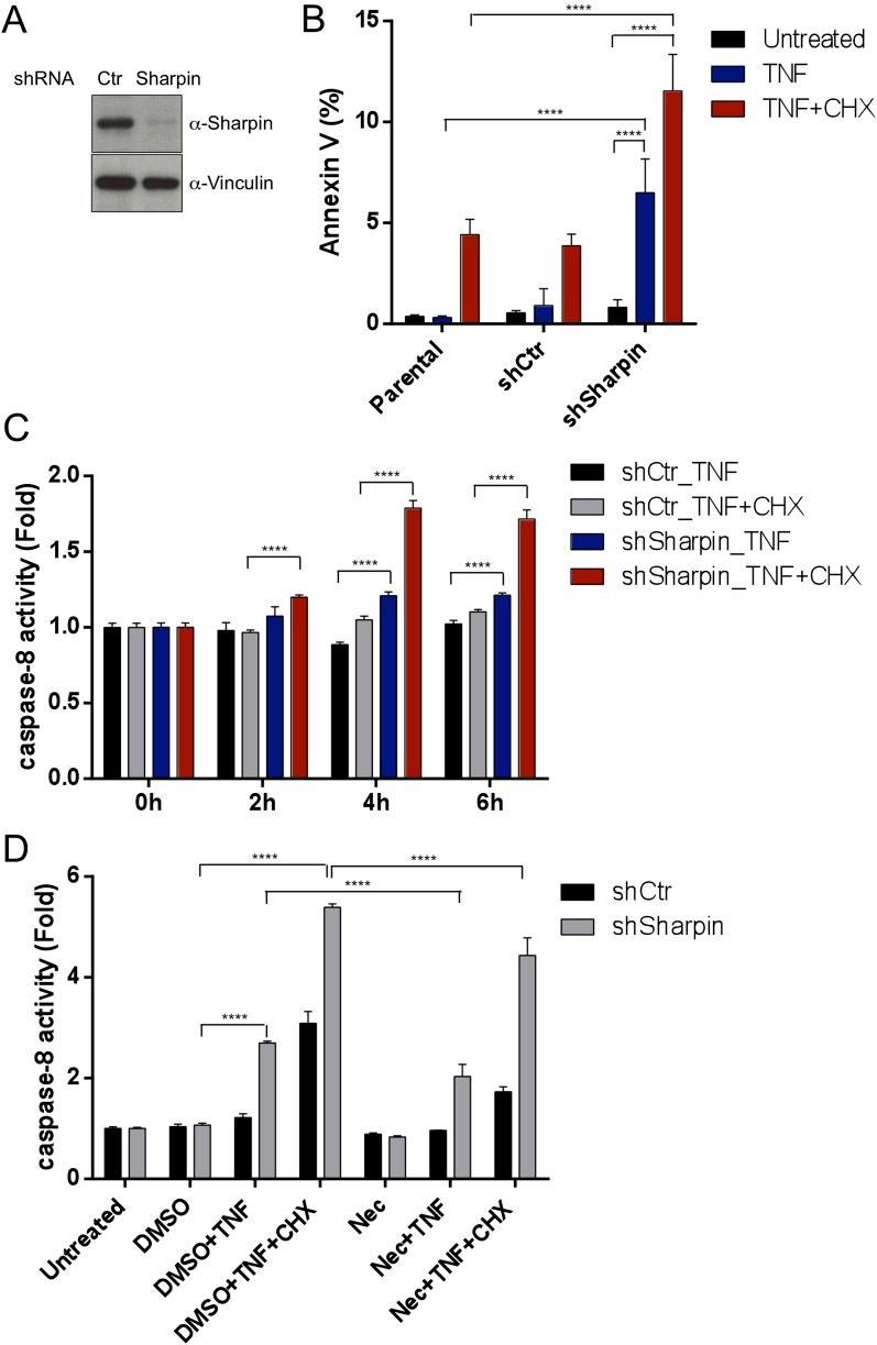 https://cdn.ncbi.nlm.nih.gov/pmc/blobs/a7b1/4225491/cd34c4e6d108/elife03422f008.jpg