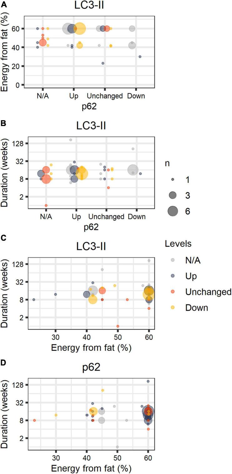 https://cdn.ncbi.nlm.nih.gov/pmc/blobs/a7bf/8081956/29e32c826ce5/fcell-09-657389-g001.jpg