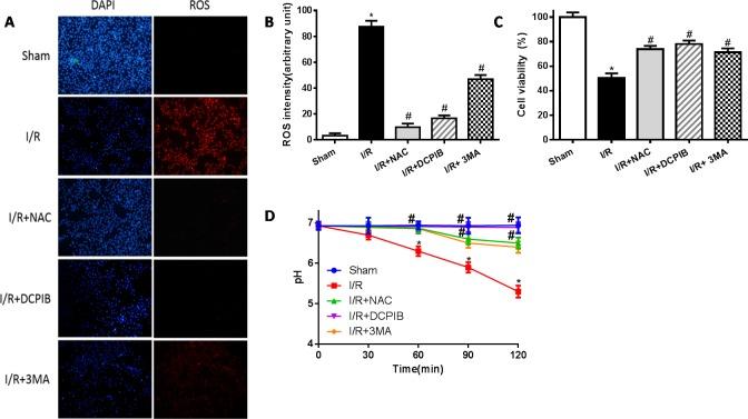 https://cdn.ncbi.nlm.nih.gov/pmc/blobs/a7cd/5129937/0267ba72b721/oncotarget-07-39345-g008.jpg