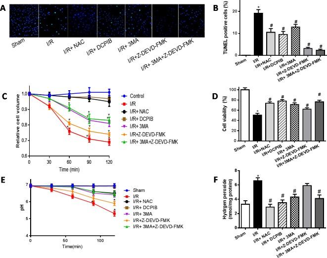 https://cdn.ncbi.nlm.nih.gov/pmc/blobs/a7cd/5129937/8db604d22635/oncotarget-07-39345-g010.jpg