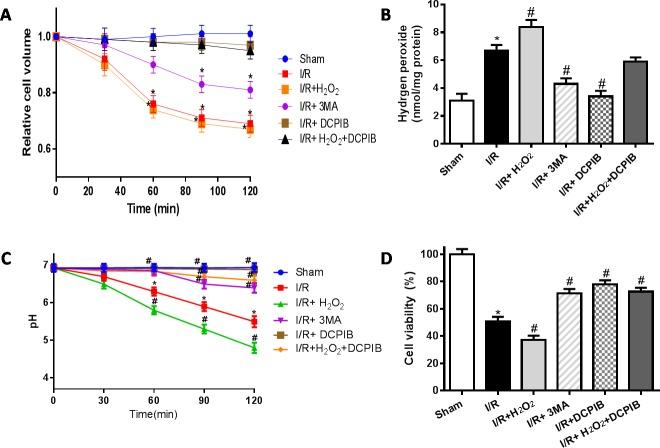 https://cdn.ncbi.nlm.nih.gov/pmc/blobs/a7cd/5129937/de85c6970efe/oncotarget-07-39345-g011.jpg