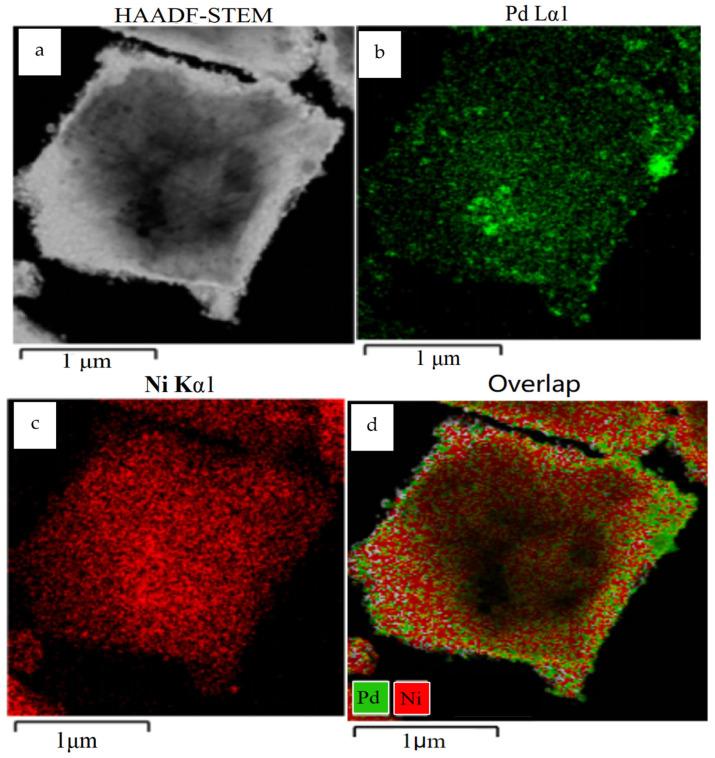 https://cdn.ncbi.nlm.nih.gov/pmc/blobs/a7e1/11123826/bdbe2ec329c4/molecules-29-02217-g002.jpg