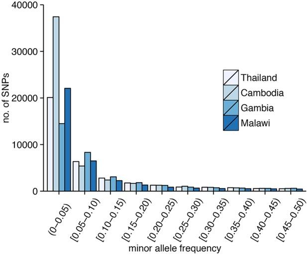 https://cdn.ncbi.nlm.nih.gov/pmc/blobs/a81f/4415759/5948c2b1a819/pgen.1005131.g001.jpg