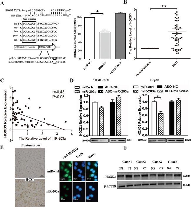 https://cdn.ncbi.nlm.nih.gov/pmc/blobs/a820/5216724/01fbb1834dd6/oncotarget-07-45302-g003.jpg