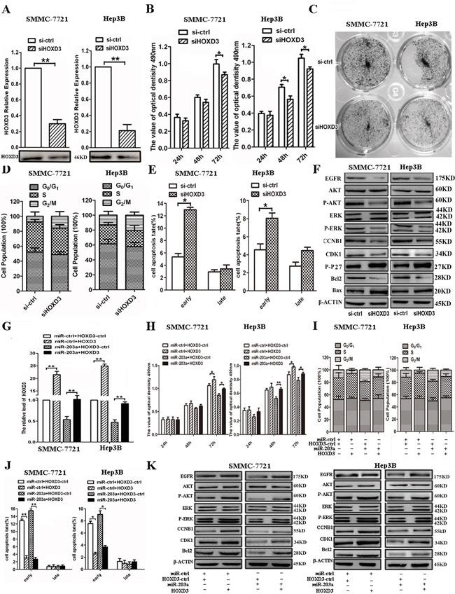 https://cdn.ncbi.nlm.nih.gov/pmc/blobs/a820/5216724/a6c1f5092189/oncotarget-07-45302-g004.jpg