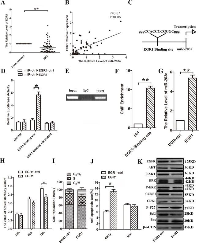 https://cdn.ncbi.nlm.nih.gov/pmc/blobs/a820/5216724/d7459df73122/oncotarget-07-45302-g001.jpg