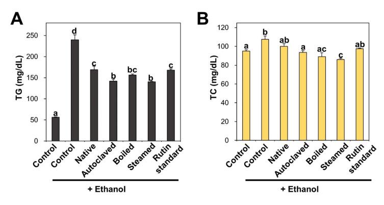 https://cdn.ncbi.nlm.nih.gov/pmc/blobs/a89c/7599602/dcc3751f70cc/antioxidants-09-00913-g005.jpg