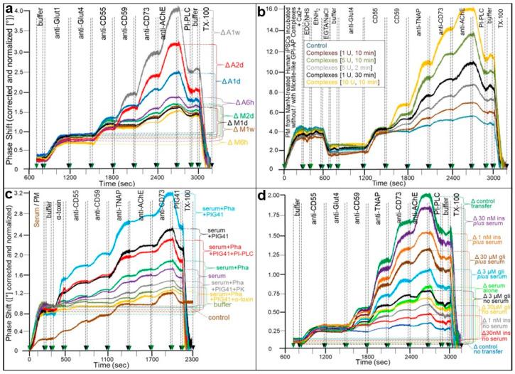 https://cdn.ncbi.nlm.nih.gov/pmc/blobs/a8a8/10295932/f75cb144af24/biomolecules-13-00994-g003.jpg