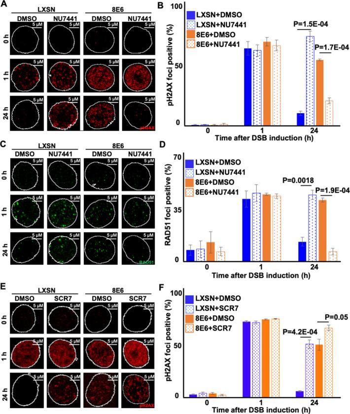 https://cdn.ncbi.nlm.nih.gov/pmc/blobs/a8b0/9897725/60e0e0d75fff/elife-81923-fig5.jpg