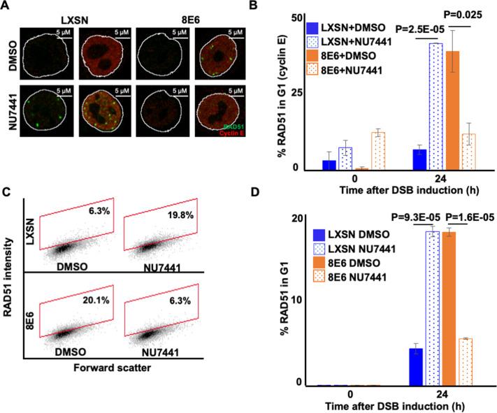 https://cdn.ncbi.nlm.nih.gov/pmc/blobs/a8b0/9897725/d67cf981b64e/elife-81923-fig6.jpg