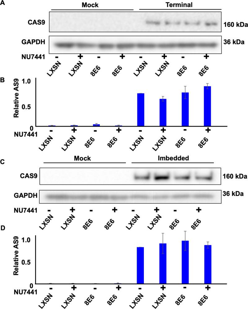 https://cdn.ncbi.nlm.nih.gov/pmc/blobs/a8b0/9897725/faea3264f1cc/elife-81923-fig4-figsupp1.jpg