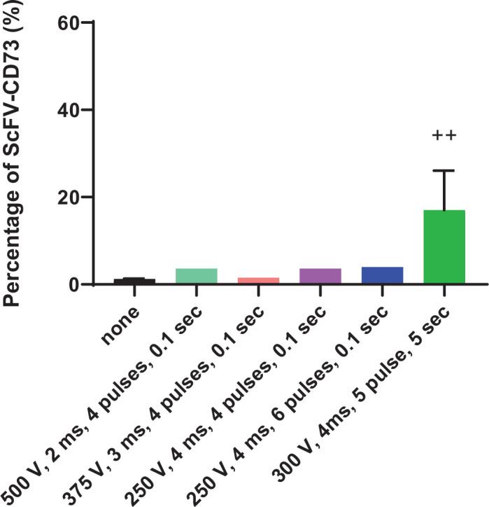 https://cdn.ncbi.nlm.nih.gov/pmc/blobs/a8ca/9342955/f46d0726f4e7/elife-73699-fig2-figsupp2.jpg