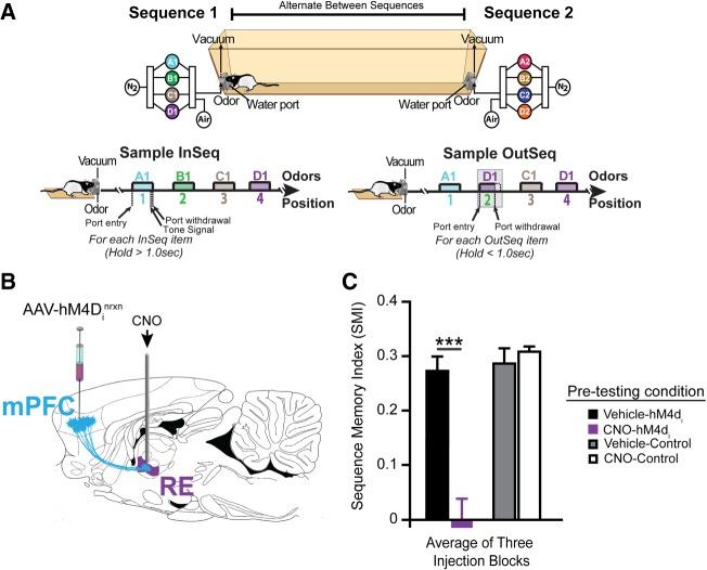 https://cdn.ncbi.nlm.nih.gov/pmc/blobs/a8f1/6581009/7f2dfaa6341a/LM048389Dol_F6.jpg