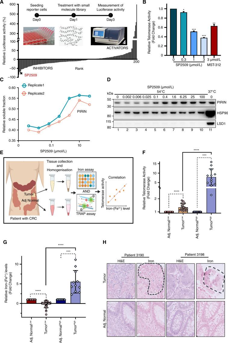 https://cdn.ncbi.nlm.nih.gov/pmc/blobs/a904/11450372/6cbd9e29f1d5/cd-23-1379fig1.jpg
