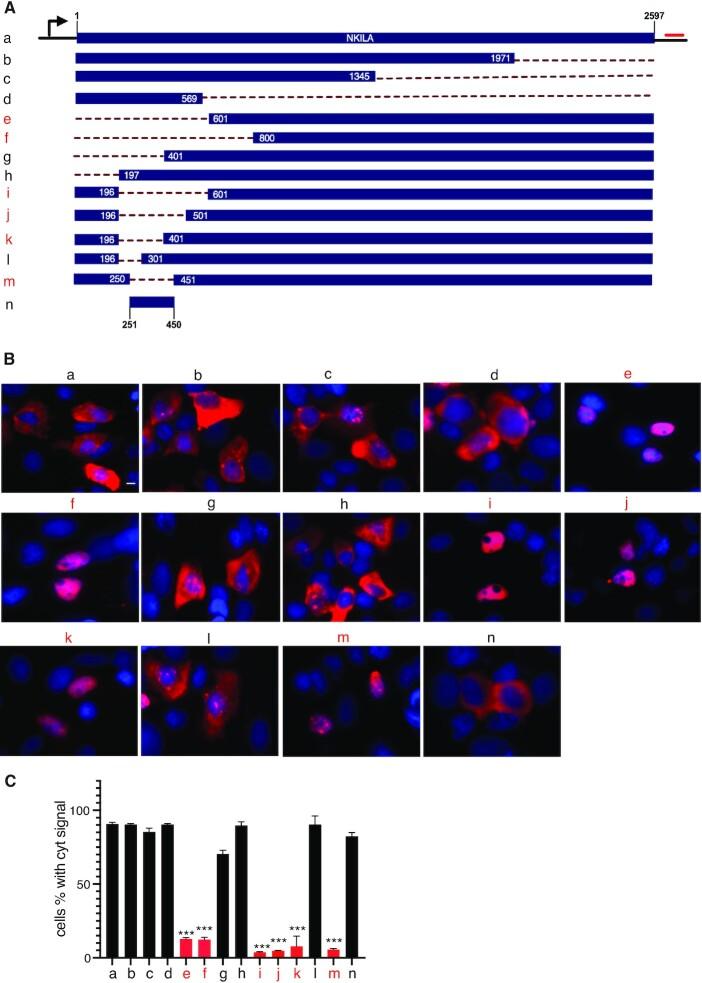 https://cdn.ncbi.nlm.nih.gov/pmc/blobs/a909/8216466/377bd47946c6/gkab445fig2.jpg