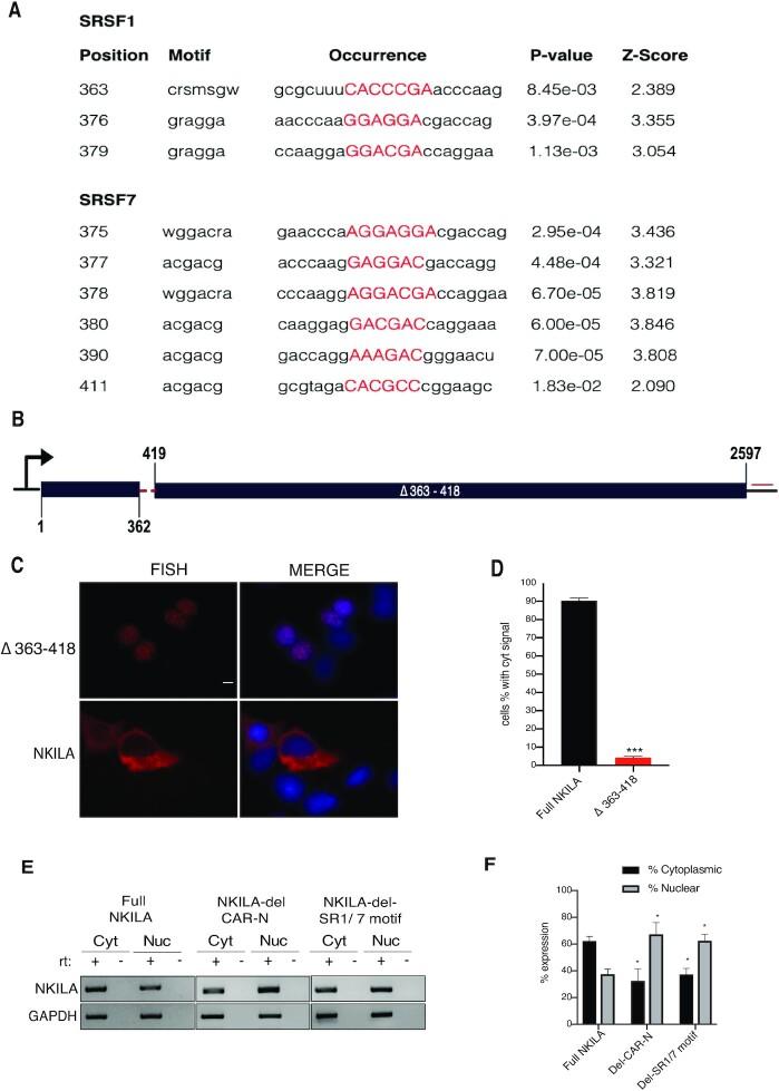 https://cdn.ncbi.nlm.nih.gov/pmc/blobs/a909/8216466/8942493e2cd3/gkab445fig5.jpg