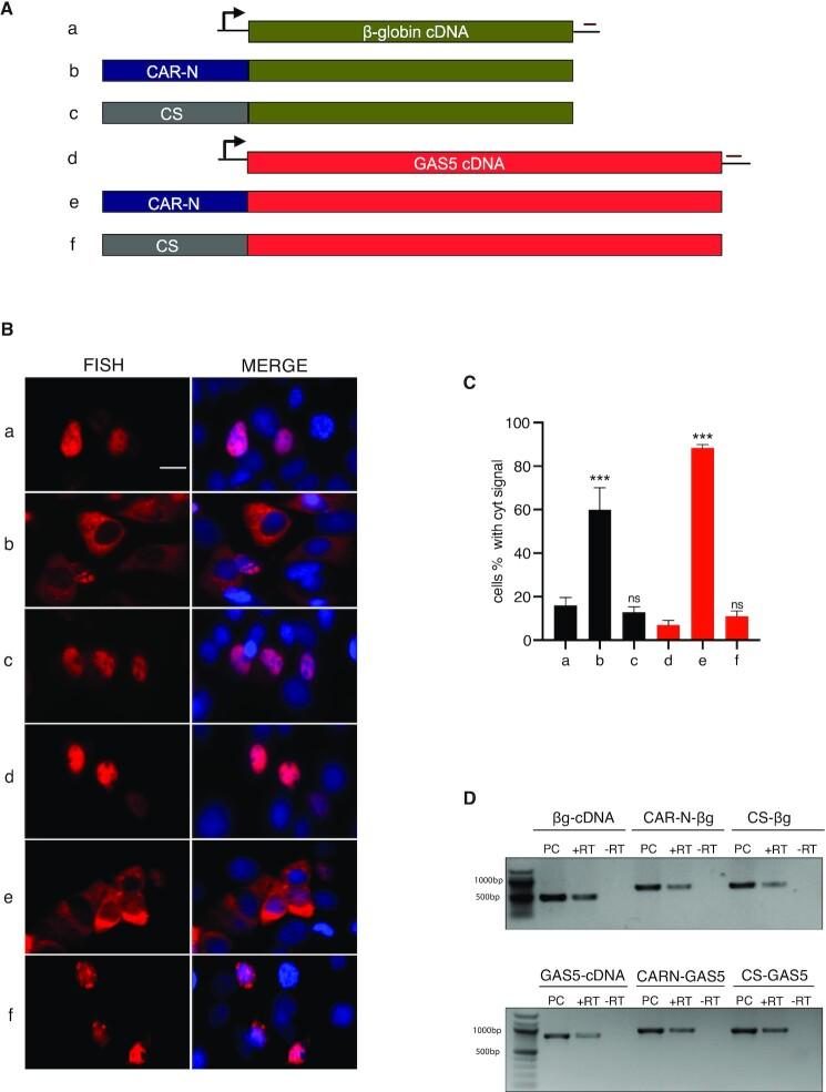 https://cdn.ncbi.nlm.nih.gov/pmc/blobs/a909/8216466/de7be5cb58aa/gkab445fig3.jpg