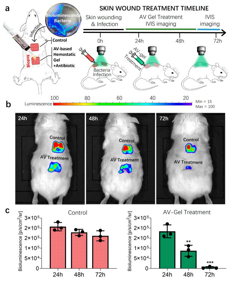 https://cdn.ncbi.nlm.nih.gov/pmc/blobs/a90a/11202428/da64c35e74a6/gels-10-00409-g009.jpg