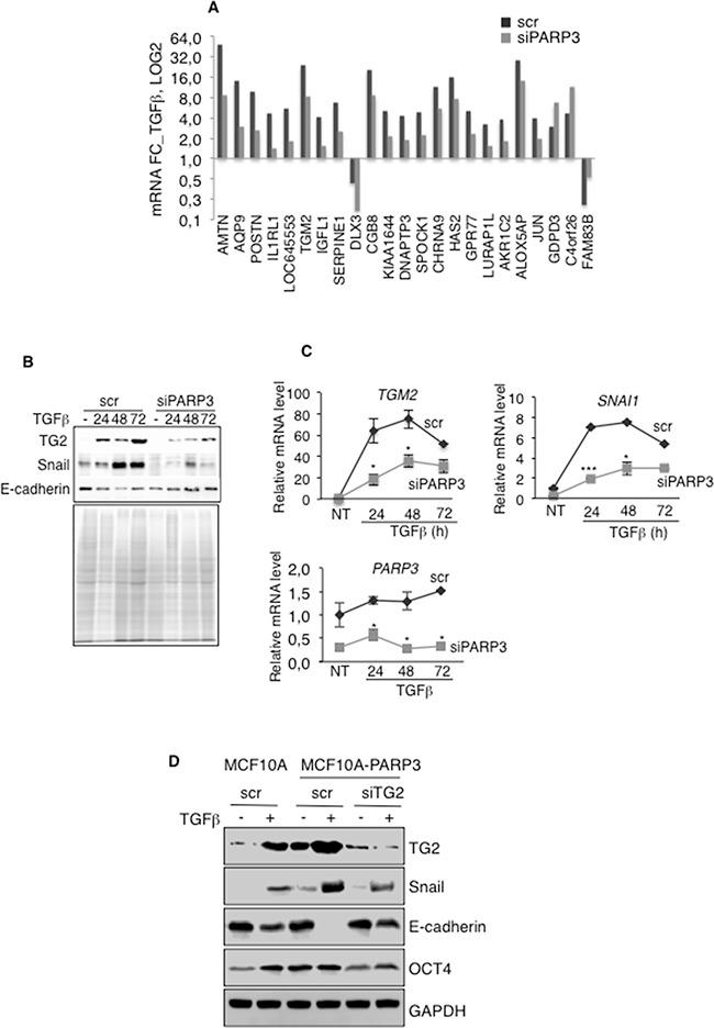 https://cdn.ncbi.nlm.nih.gov/pmc/blobs/a916/5325429/567c1184693f/oncotarget-07-64109-g005.jpg