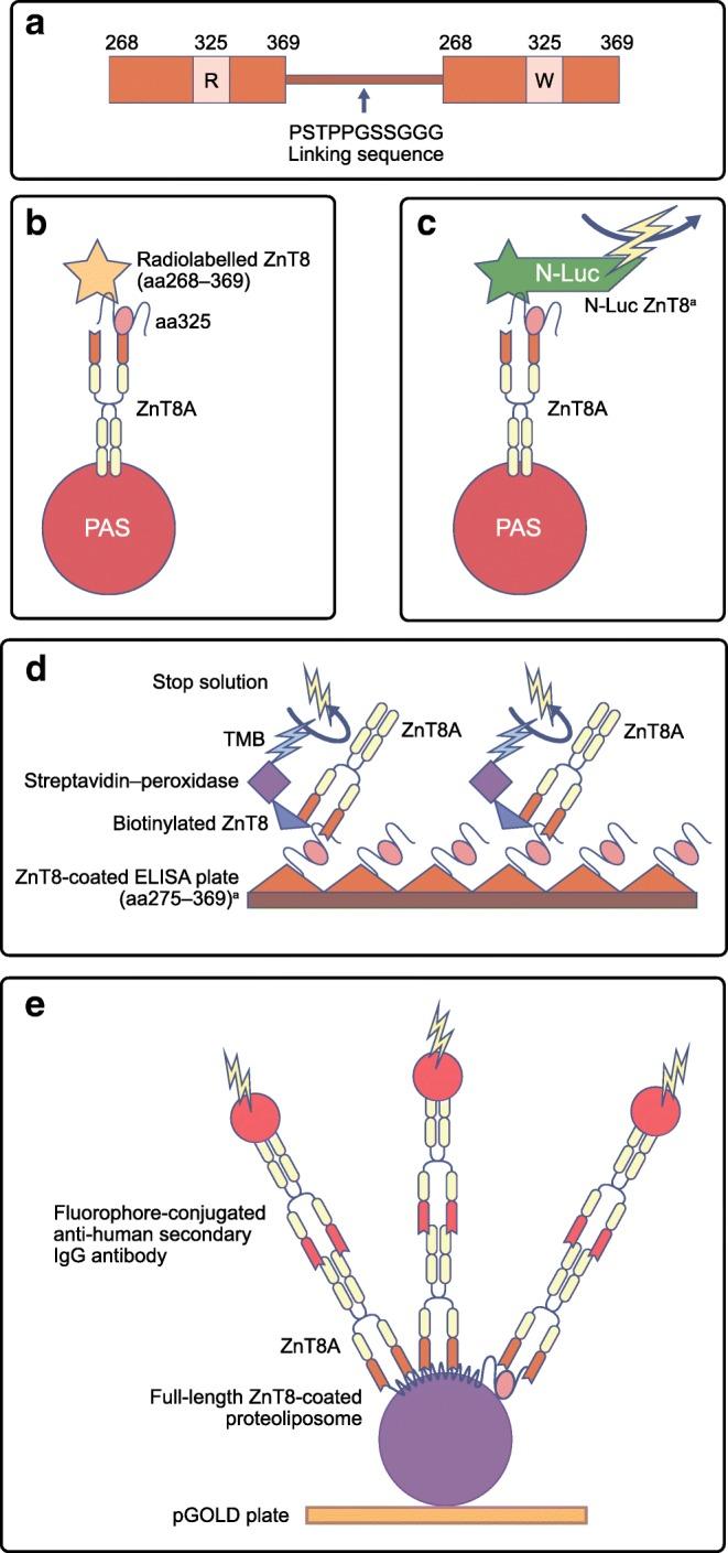 https://cdn.ncbi.nlm.nih.gov/pmc/blobs/a923/6805822/d330db0aff1c/125_2019_4975_Fig2_HTML.jpg
