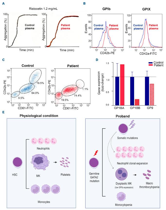 https://cdn.ncbi.nlm.nih.gov/pmc/blobs/a926/12399949/e66bd3641621/1102240.fig2.jpg