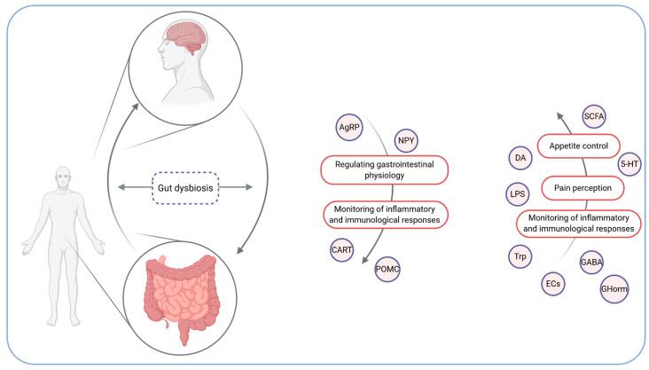 https://cdn.ncbi.nlm.nih.gov/pmc/blobs/a932/7822472/541e4c5a3394/microorganisms-09-00018-g001.jpg