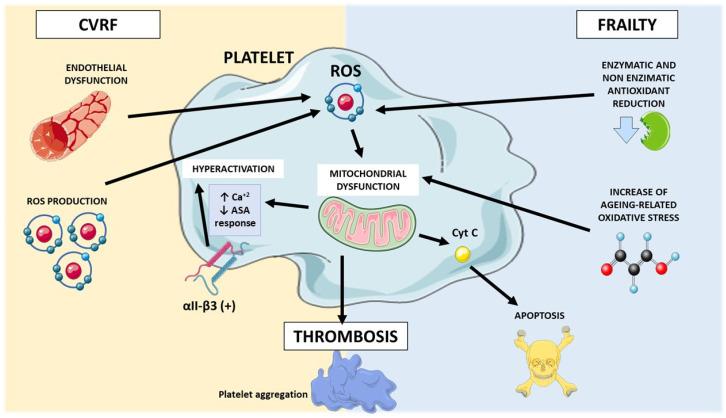 https://cdn.ncbi.nlm.nih.gov/pmc/blobs/a94c/11429027/15609e16e61c/biomedicines-12-02004-g001.jpg