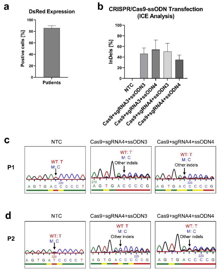 https://cdn.ncbi.nlm.nih.gov/pmc/blobs/a94c/9777626/5569f7655f47/genes-13-02348-g004.jpg