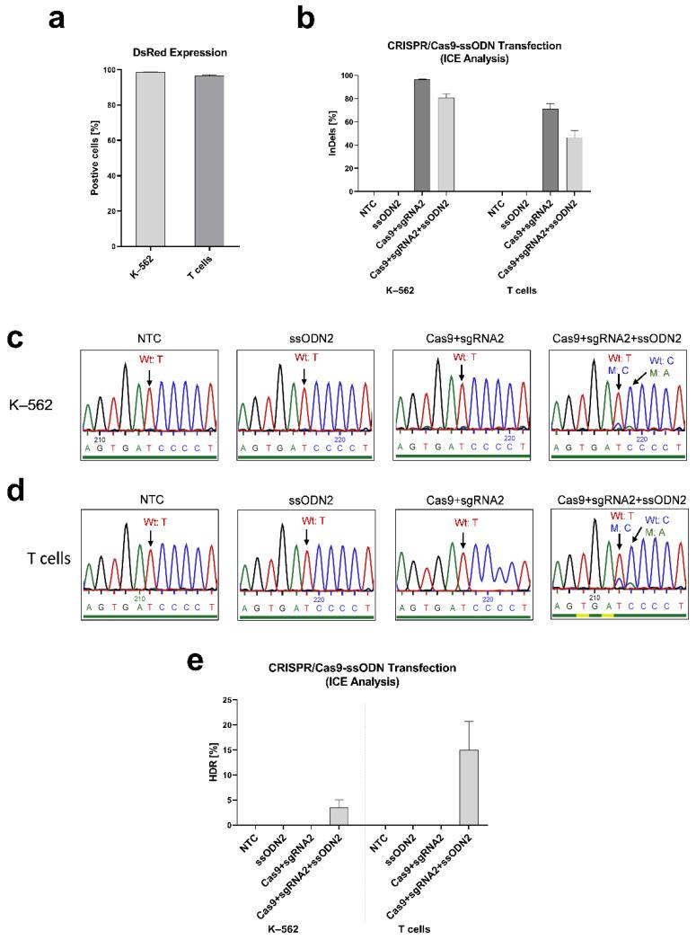 https://cdn.ncbi.nlm.nih.gov/pmc/blobs/a94c/9777626/fc0b567ada5c/genes-13-02348-g003.jpg