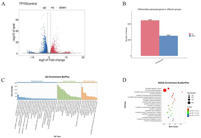 https://cdn.ncbi.nlm.nih.gov/pmc/blobs/a958/11728831/c5d62a119be1/toxics-12-00896-g002.jpg