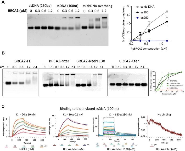 https://cdn.ncbi.nlm.nih.gov/pmc/blobs/a967/12412785/8c7d2d3cdb0d/gkaf856fig7.jpg