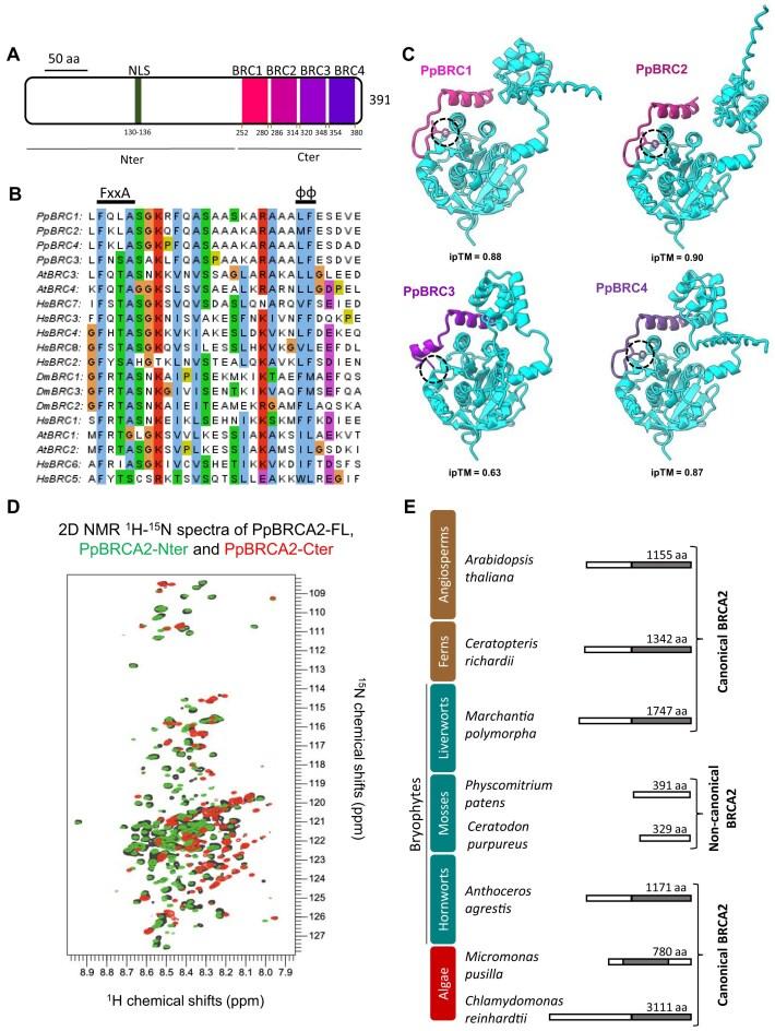 https://cdn.ncbi.nlm.nih.gov/pmc/blobs/a967/12412785/95ad79907b76/gkaf856fig1.jpg
