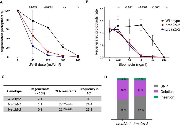 https://cdn.ncbi.nlm.nih.gov/pmc/blobs/a967/12412785/d35a678032fa/gkaf856fig3.jpg