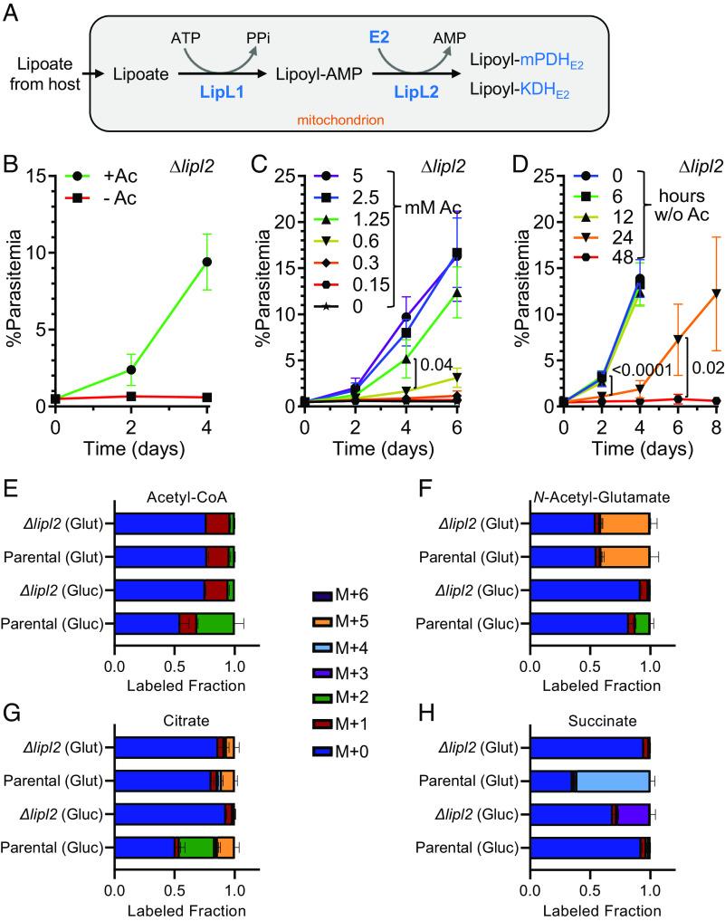 https://cdn.ncbi.nlm.nih.gov/pmc/blobs/a96b/10151609/78a58176be1d/pnas.2210929120fig06.jpg