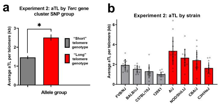 https://cdn.ncbi.nlm.nih.gov/pmc/blobs/a977/8533930/3b8f59db933c/cells-10-02623-g003.jpg