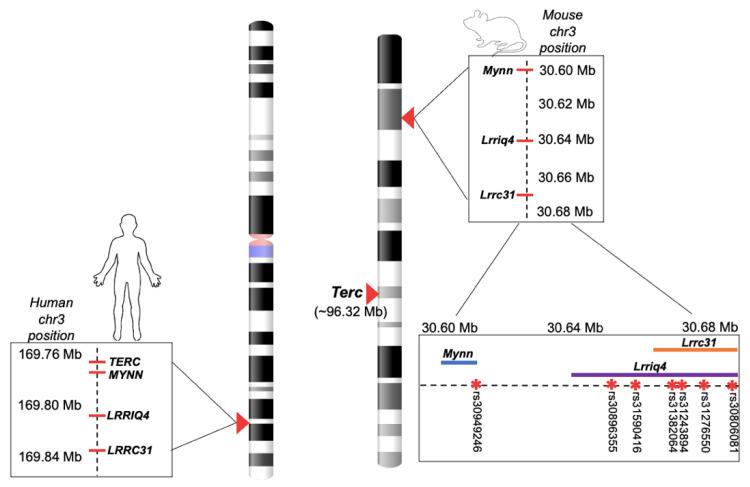 https://cdn.ncbi.nlm.nih.gov/pmc/blobs/a977/8533930/ad4e63f3b8be/cells-10-02623-g001.jpg