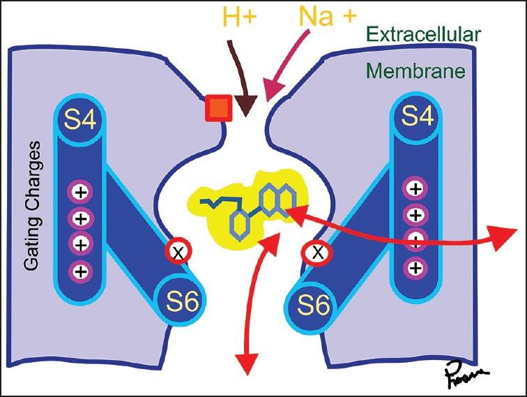 https://cdn.ncbi.nlm.nih.gov/pmc/blobs/a98a/4541190/6ea5c89ddd9b/JOACP-31-384-g003.jpg