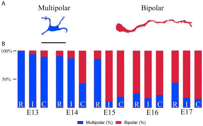 https://cdn.ncbi.nlm.nih.gov/pmc/blobs/a990/12075217/9f70cdd65091/fnins-19-1546397-g006.jpg
