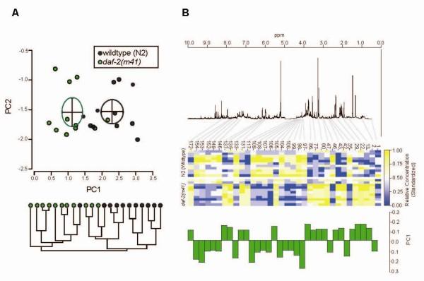 https://cdn.ncbi.nlm.nih.gov/pmc/blobs/a9c0/2829508/87cff492d300/1741-7007-8-14-1.jpg