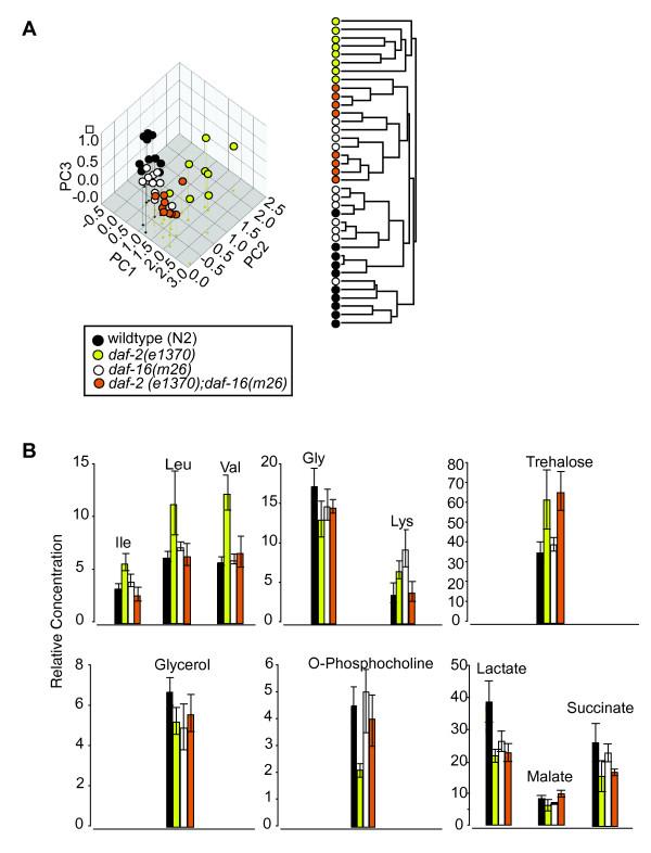 https://cdn.ncbi.nlm.nih.gov/pmc/blobs/a9c0/2829508/e5192739f71e/1741-7007-8-14-4.jpg